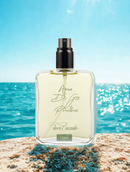 Perfume Masculino Acqua de Gio no Acqua de Gio